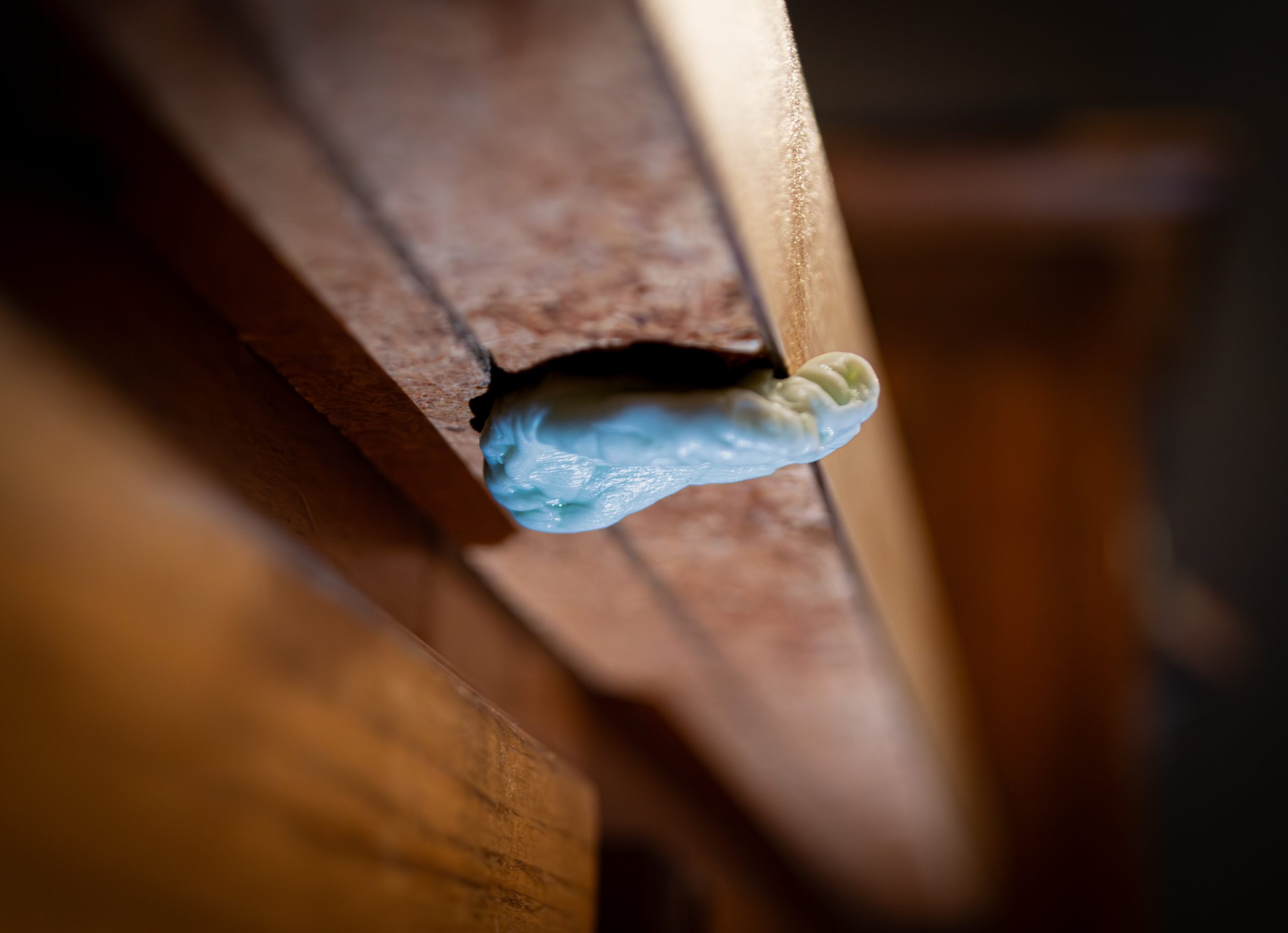 DSC_0363-2-scaled